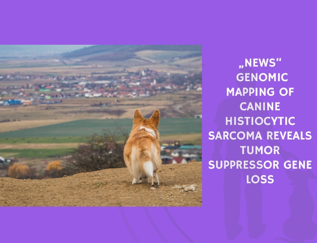 Genomic Mapping of Canine Histiocytic Sarcoma Reveals Tumor Suppressor Gene Loss