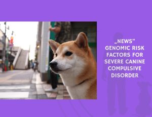 Genomic Risk Factors for Severe Canine Compulsive Disorder