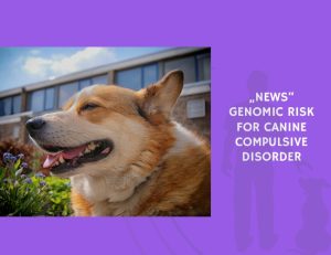 Genomic Risk for Canine Compulsive Disorder