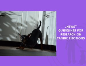 Guidelines for Research on Canine Emotions