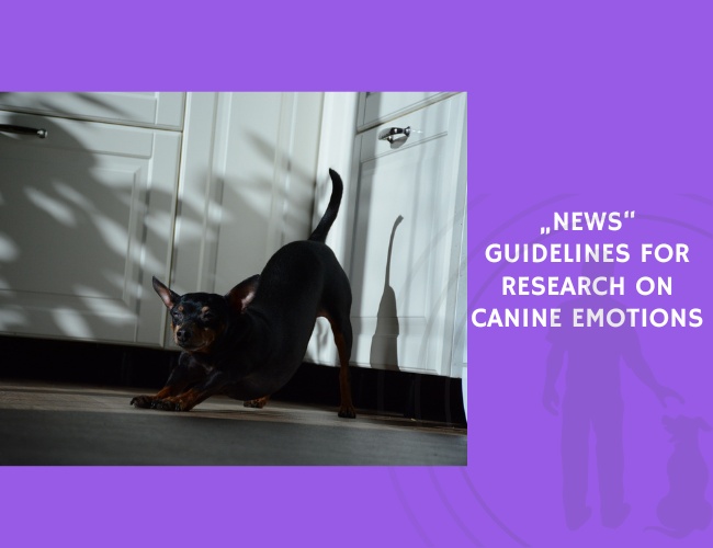 Guidelines for Research on Canine Emotions