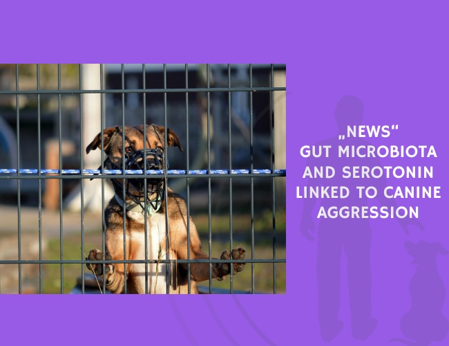 Gut Microbiota and Serotonin Linked to Canine Aggression