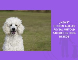Hidden Alleles Reveal Untold Stories in Dog Breeds