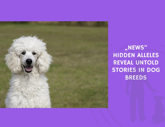 Hidden Alleles Reveal Untold Stories in Dog Breeds