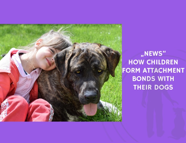 How Children Form Attachment Bonds with Their Dogs
