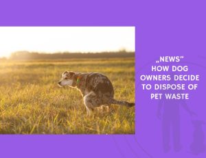 How Dog Owners Decide to Dispose of Pet Waste