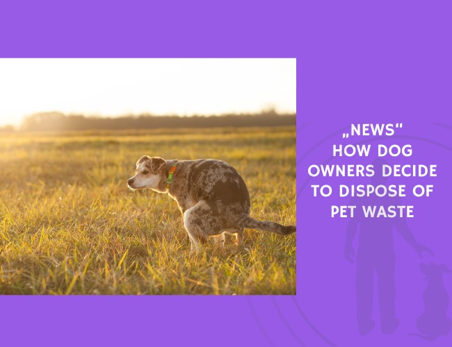 How Dog Owners Decide to Dispose of Pet Waste