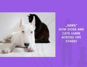 How Dogs and Cats Learn Across Life Stages