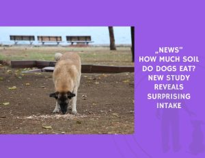 How Much Soil Do Dogs Eat New Study Reveals Surprising Intake