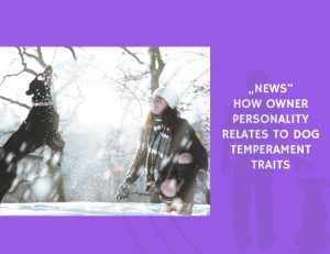 How Owner Personality Relates to Dog Temperament Traits
