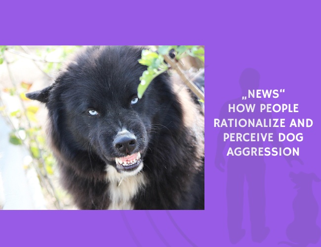 How People Rationalize and Perceive Dog Aggression