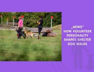 How Volunteer Personality Shapes Shelter Dog Walks