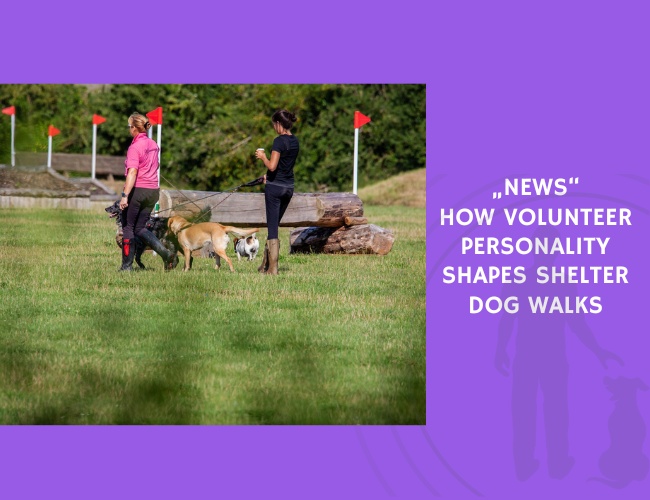 How Volunteer Personality Shapes Shelter Dog Walks