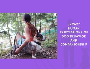 Human Expectations of Dog Behavior and Companionship