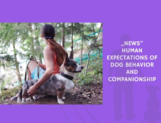 Human Expectations of Dog Behavior and Companionship