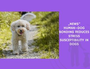 Human–Dog Bonding Reduces Stress Susceptibility in Dogs