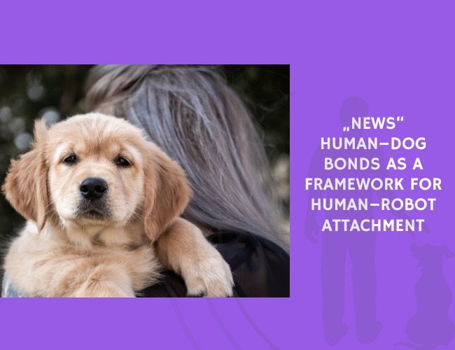 Human–Dog Bonds as a Framework for Human–Robot Attachment