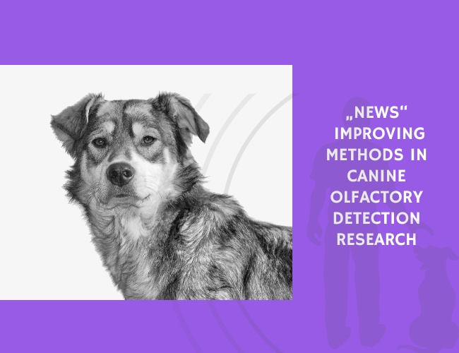 Improving Methods in Canine Olfactory Detection Research