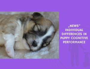 Individual Differences in Puppy Cognitive Performance