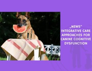 Integrative Care Approaches for Canine Cognitive Dysfunction