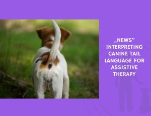 Interpreting Canine Tail Language for Assistive Therapy