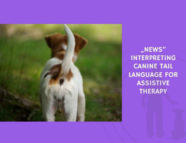 Interpreting Canine Tail Language for Assistive Therapy