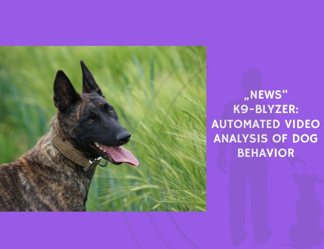 K9-Blyzer Automated Video Analysis of Dog Behavior