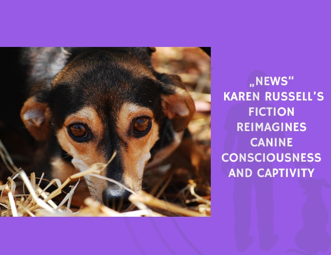 Karen Russell’s Fiction Reimagines Canine Consciousness and Captivity