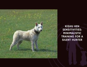 Kishu Ken Sensitivities Minimalistic Training for a Silent Hunter
