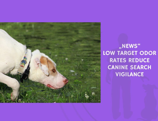 Low Target Odor Rates Reduce Canine Search Vigilance