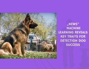 Machine Learning Reveals Key Traits for Detection Dog Success