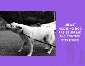 Modeling Dog Rabies Spread and Control Strategies