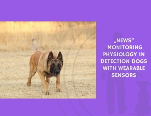Monitoring Physiology in Detection Dogs with Wearable Sensors