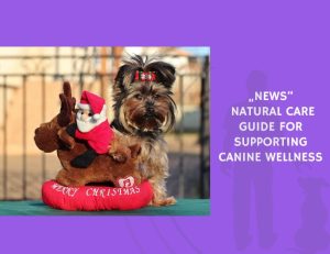 Natural Care Guide for Supporting Canine Wellness