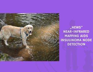 Near-Infrared Mapping Aids Insulinoma Node Detection