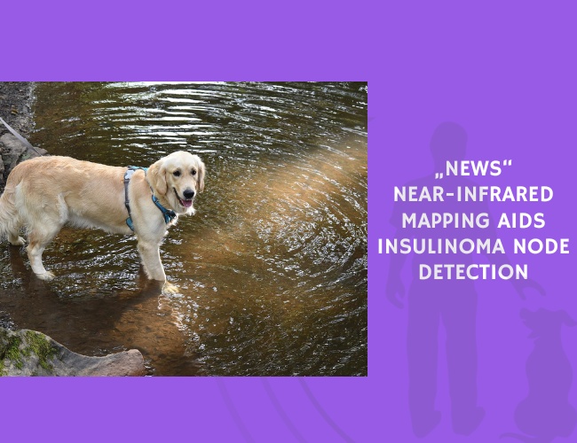 Near-Infrared Mapping Aids Insulinoma Node Detection