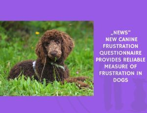 New Canine Frustration Questionnaire Provides Reliable Measure of Frustration in Dogs