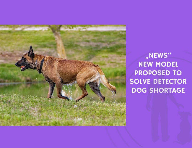 New Model Proposed to Solve Detector Dog Shortage