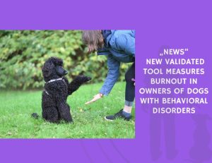 New Validated Tool Measures Burnout in Owners of Dogs With Behavioral Disorders