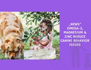 Omega-3, Magnesium & Zinc Reduce Canine Behavior Issues