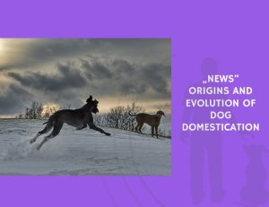 Origins and Evolution of Dog Domestication
