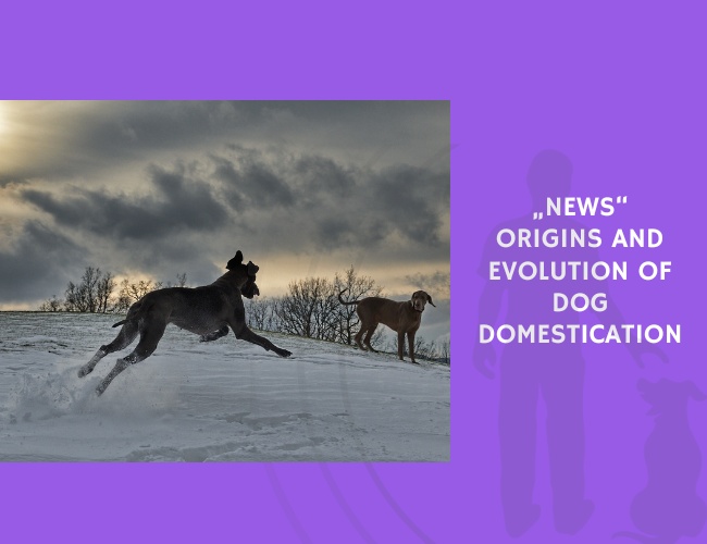 Origins and Evolution of Dog Domestication