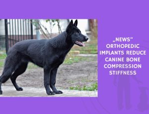 Orthopedic Implants Reduce Canine Bone Compression Stiffness