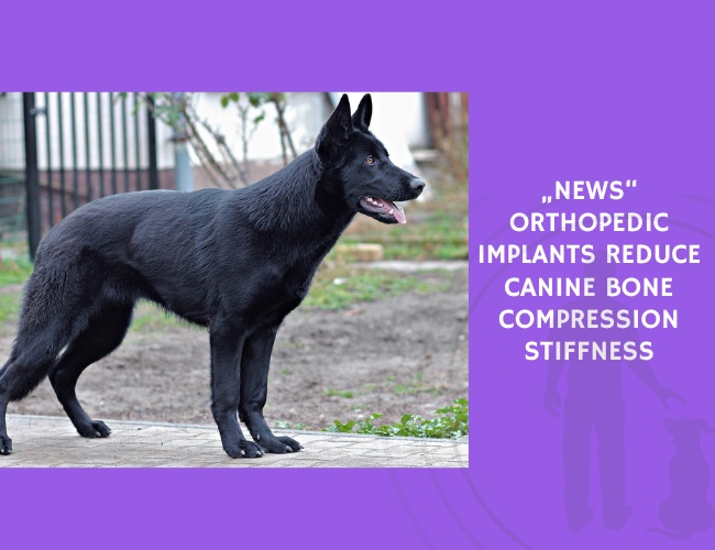 Orthopedic Implants Reduce Canine Bone Compression Stiffness