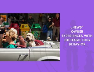 Owner Experiences with Excitable Dog Behavior