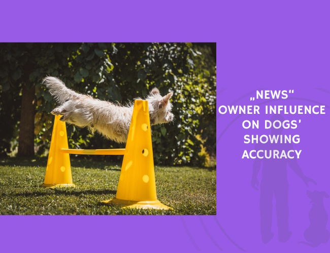 Owner Influence on Dogs’ Showing Accuracy