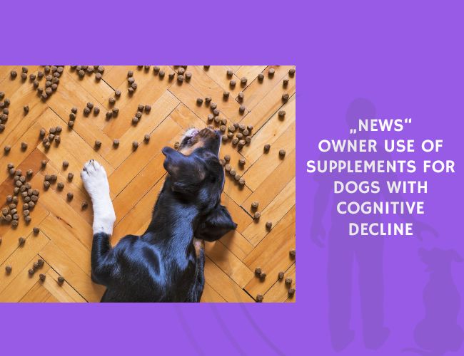 Owner Use of Supplements for Dogs with Cognitive Decline