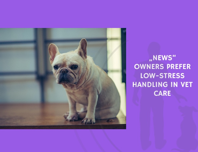 Owners Prefer Low-Stress Handling in Vet Care