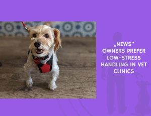 Owners Prefer Low-Stress Handling in Vet Clinics