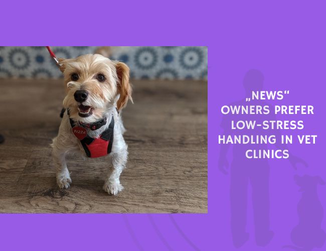 Owners Prefer Low-Stress Handling in Vet Clinics